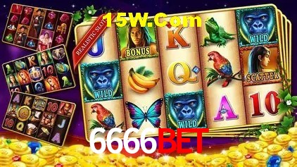 6666Bet Salvador - Promo Stats